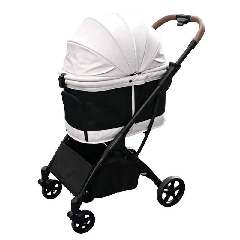 product-800-800 product-800-800