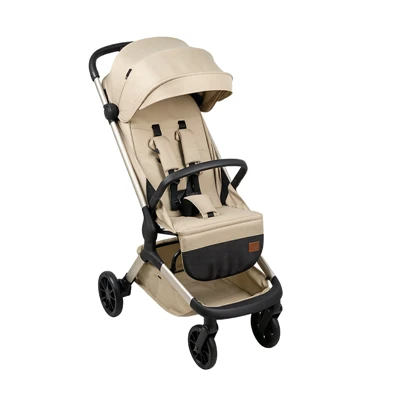 Push Chair Stroller